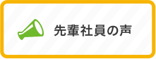 先輩社員の声